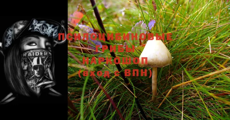 Галлюциногенные грибы Magic Shrooms  сайты даркнета как зайти  Комсомольск 